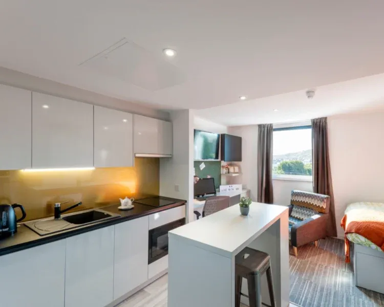 student accommodation edinburgh view