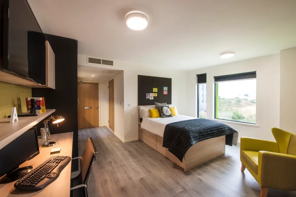 The Lyra en-suite Platinum studio 4241