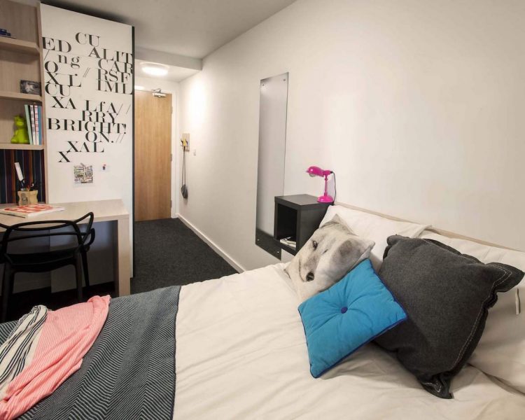 Newcastle en-suite room in shared apartment
